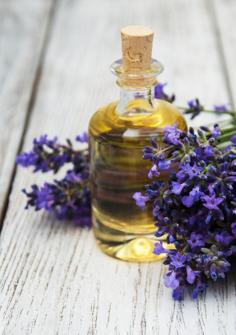 Ätherisches Öl des Monats Juni: Lavendel