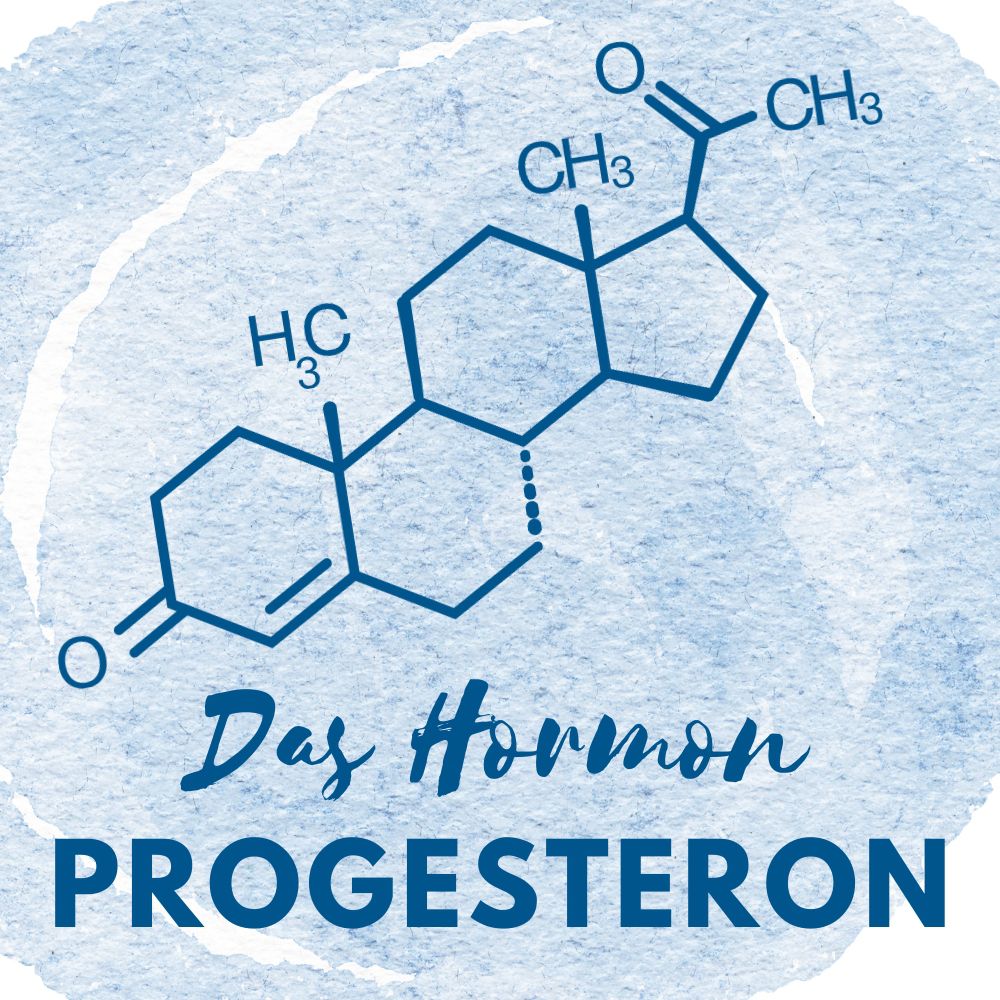 Das Hormon Progesteron