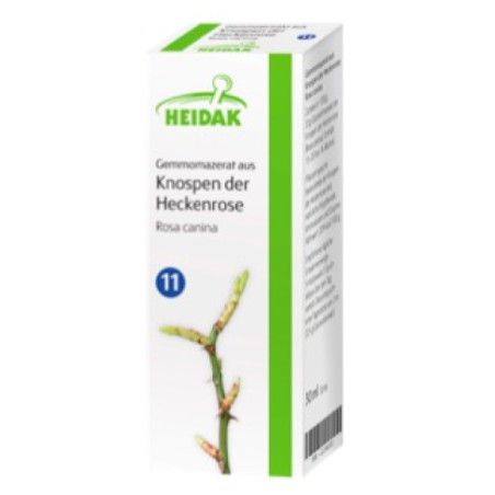 HEIDAK Knospenextrakt Heckenrose - Rosa canina - Markt-Apotheke Greiff