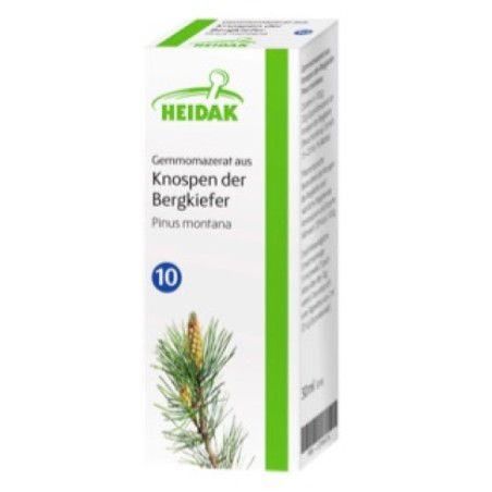 HEIDAK Knospenextrakt Bergkiefer - Pinus montana - Markt-Apotheke Greiff