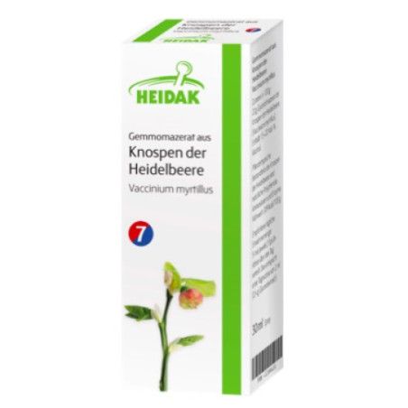 HEIDAK Knospenextrakt Heidelbeere - Vaccinium myrtillus - Markt-Apotheke Greiff