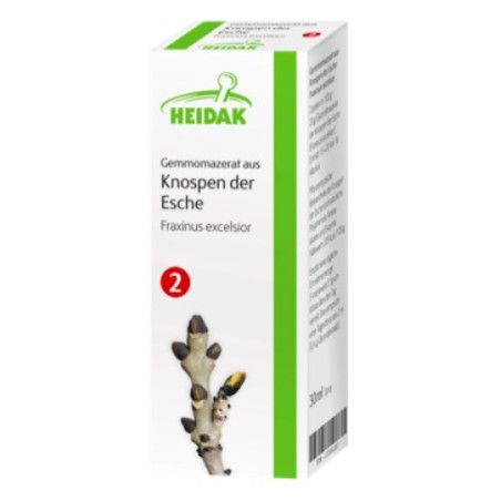 HEIDAK Knospenextrakt Esche - Fraxinus excelsior - Markt-Apotheke Greiff